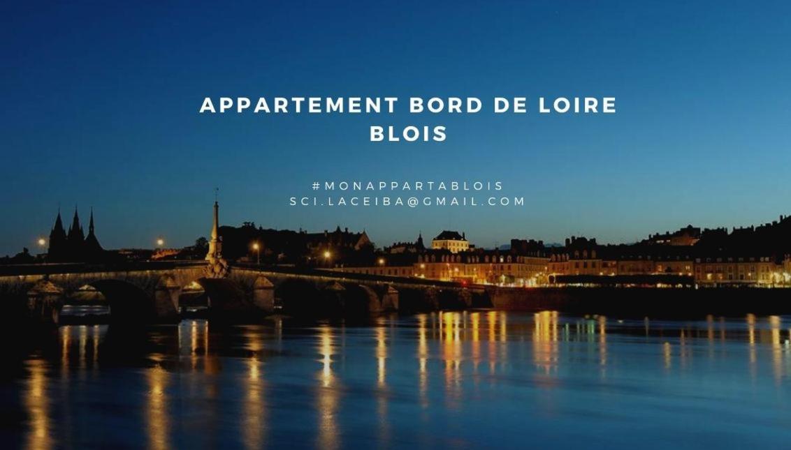 블루아 Duplex 60 M2 Bord De Loire 아파트 외부 사진