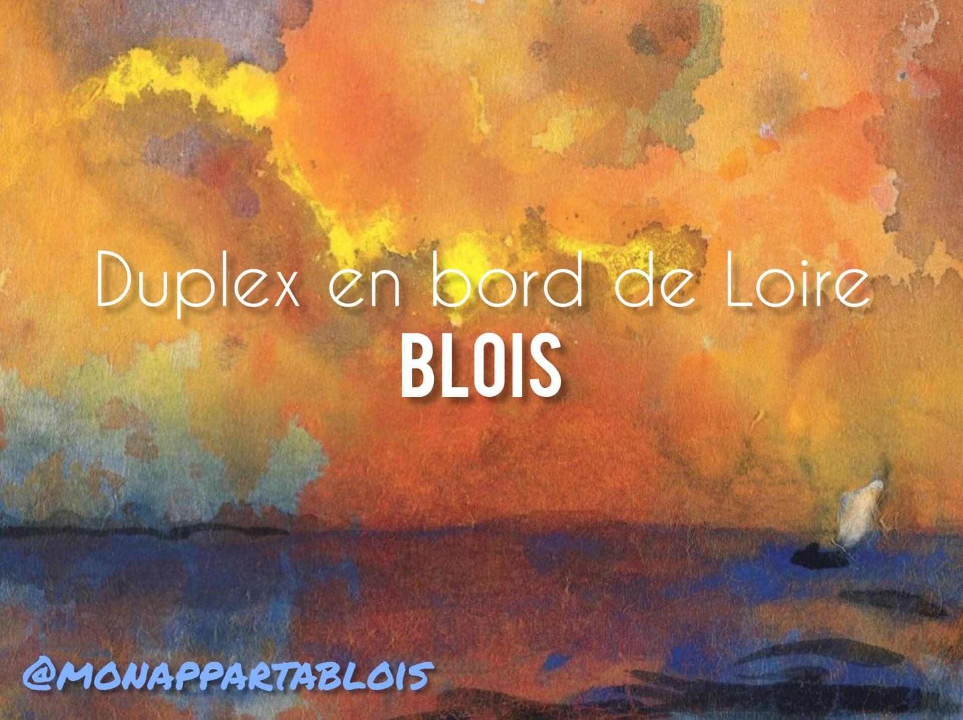 블루아 Duplex 60 M2 Bord De Loire 아파트 외부 사진